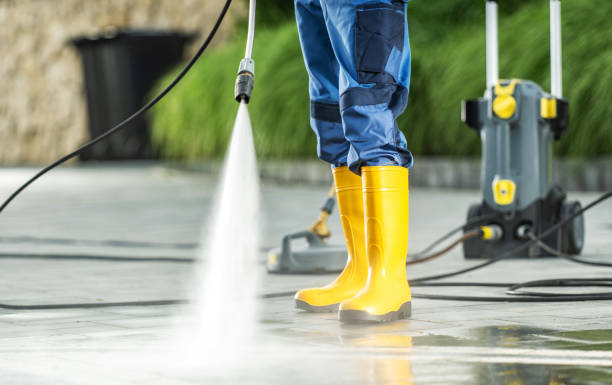Best Deck Cleaning Services  in Montour Falls, NY