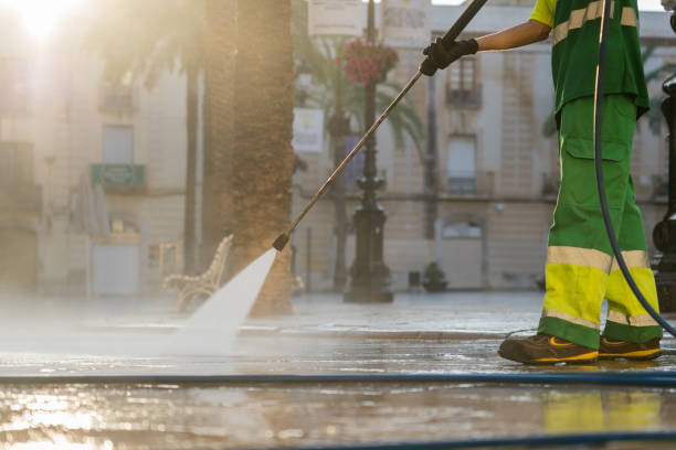 Best Roof Power Washing Services  in Montour Falls, NY